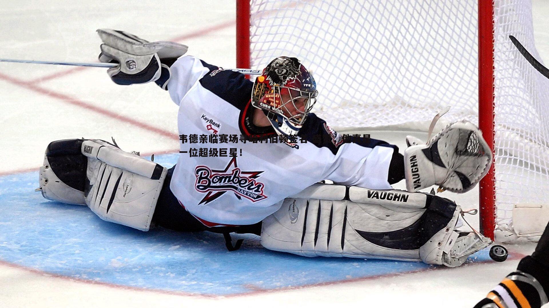 韦德亲临赛场寻哈利伯顿签名 盛赞，他真是一位超级巨星！