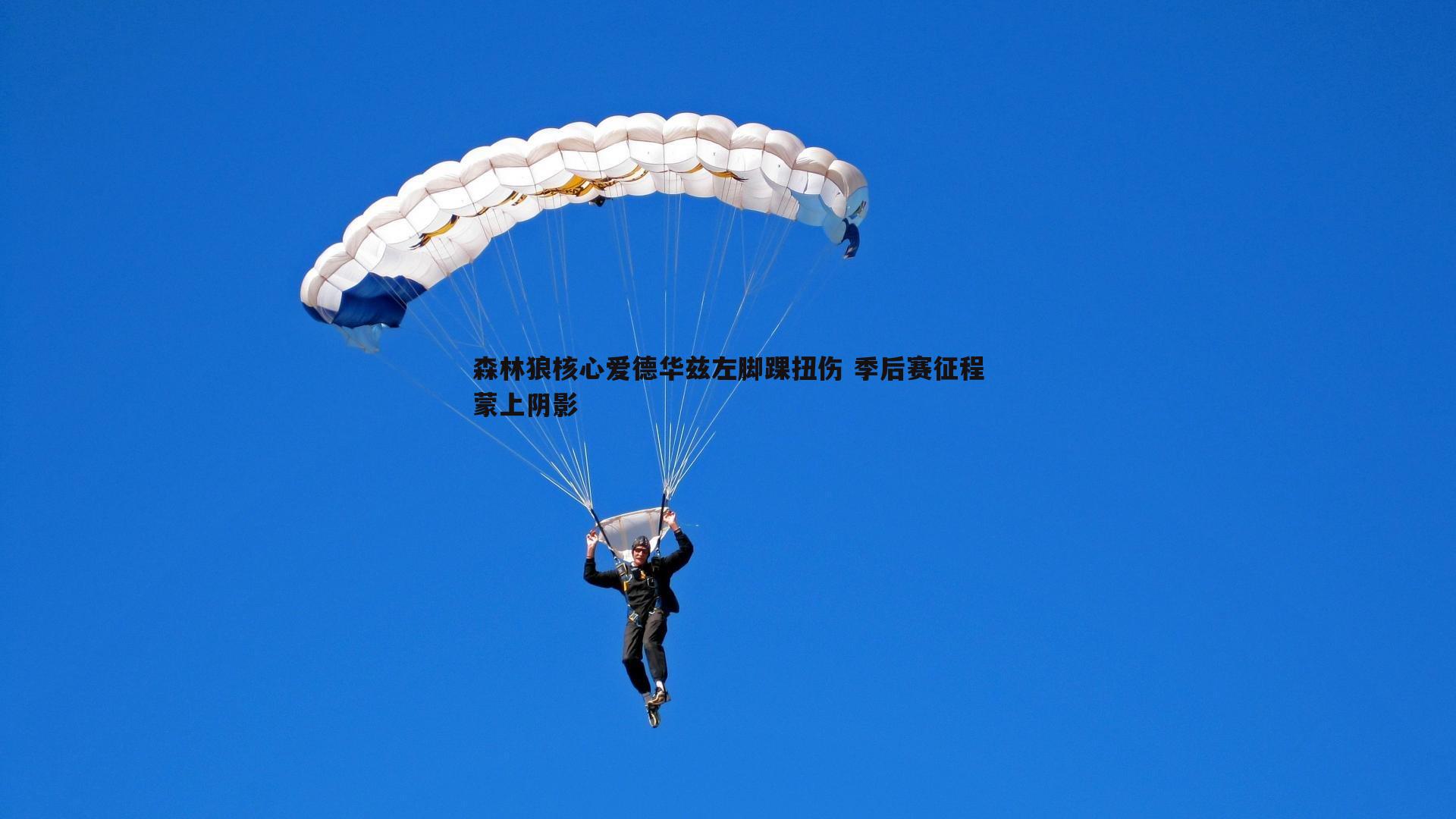 森林狼核心爱德华兹左脚踝扭伤 季后赛征程蒙上阴影