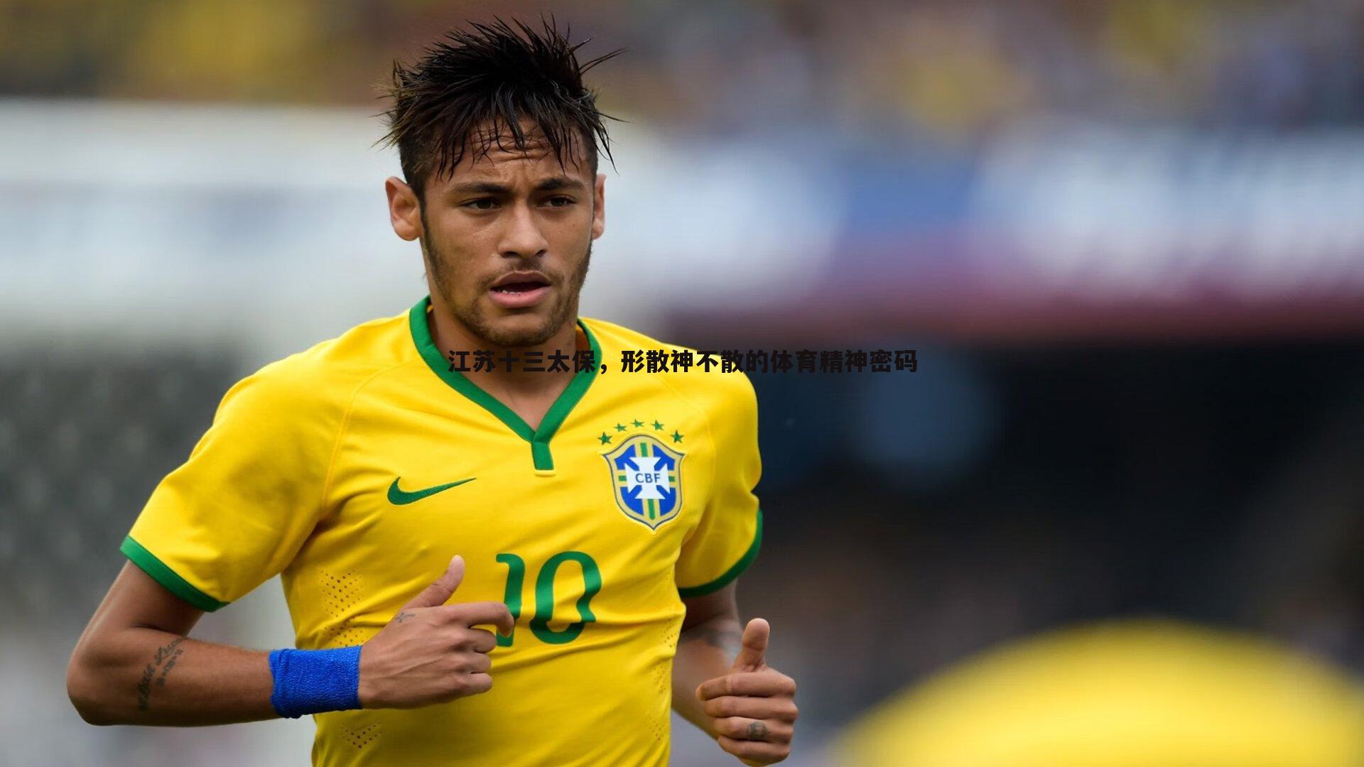 江苏十三太保，形散神不散的体育精神密码